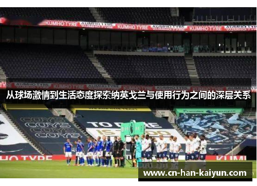 从球场激情到生活态度探索纳英戈兰与使用行为之间的深层关系