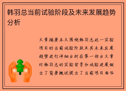 韩羽总当前试验阶段及未来发展趋势分析